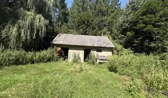 Opuszczona leśniczówka - zdjęcie 5/23