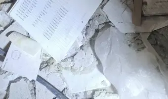 Złota Sosna