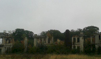 Ruiny pałacu, włostów