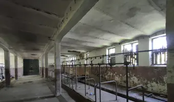 INSTYTUT HODOWLI BYDŁA, BRWINÓW