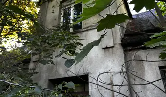 Opuszczony dom - zdjęcie 4/4