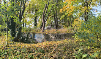 Ruiny majątku dohrnów.