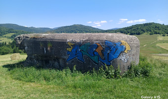 Schron bojowy " wyrwidąb", cięcina