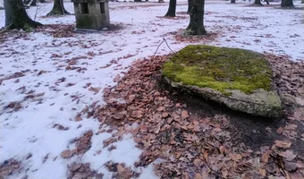 Schron - park poniatowskiego, Łódź