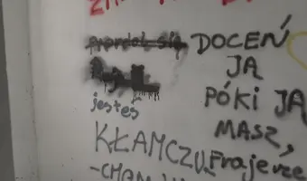 Opuszczony niedokończony dom