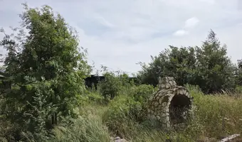 Opuszczone schronisko dla zwierząt - zdjęcie 4/4
