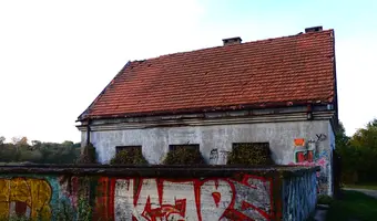 Zarośnięty dom