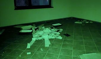 Willa milionera węglowice