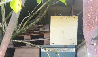Cmentarzysko pojazdów, Karolew