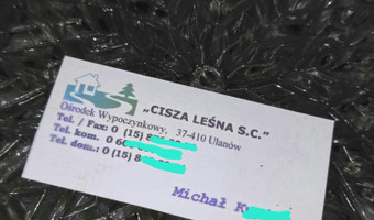 Domki letniskowe cisza leśna