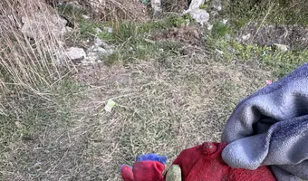 Ruiny domu - zdjęcie 3/4