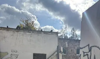 budynki