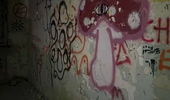 Zakład dla Nerwowo i Psychicznie Chorych Żydów - Zofiówka