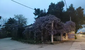 Opuszczony budynek Zadar