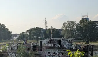 Pchacz łoś-k17