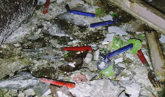 2 opuszczone domy w lesie - zdjęcie 3/4