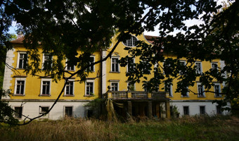 Pałac w patoce