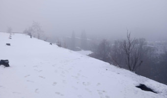 Fabryka adama ossera, Łódź