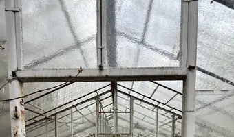 Opuszczone szklarnie