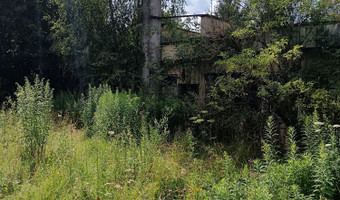 Oouszczone schronisko