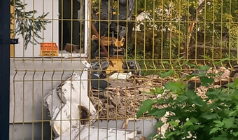 Prawdopodobnie budynek współdzielni