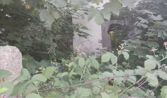Opuszczona ruina - zdjęcie 4/4