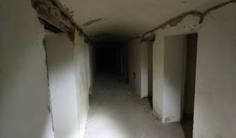 Pałac z x i x-wieku., dreżewo