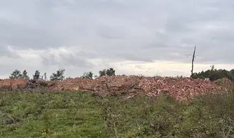 Cegielnia w Aniołowie, Zgierz - zdjęcie 5/16