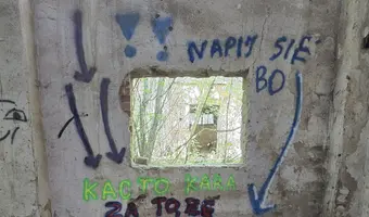 Cegielnia w Psurzu k. Kutna, Psurze