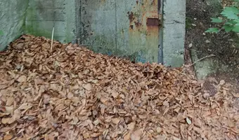Bateria artylerii stałej międzyzdroje - photo 2/2