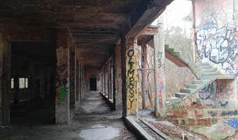 Zakład dla nerwowo i psychicznie chorych Żydów - zofiówka