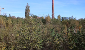 Fabryka Anilany, Łódź,