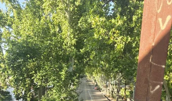 Opuszczony most kolejowy