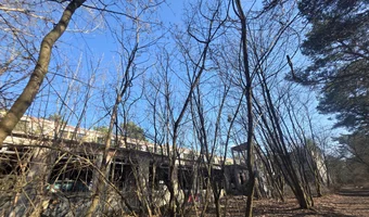 Zakład dla nerwowo i psychicznie chorych Żydów - zofiówka