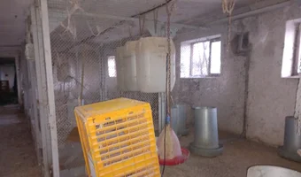 Opuszczony kompleks budynków