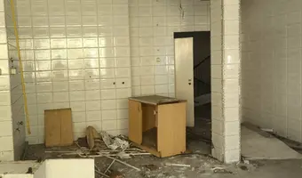 Złota Sosna