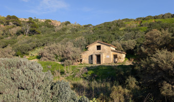 Ruderi romani torre san cataldo