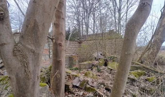 Ruiny gospodarstwa - zdjęcie 3/4