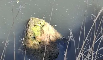 Opusczona fabryka tkanin silwana, gorzów wlkp. - photo 3/4