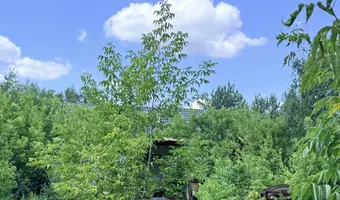 Cmentarzysko pojazdów, karolew - zdjęcie 3/4