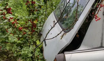 Porzucony Trabant
