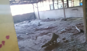 Opuszczony budynek na ul. modrzewiowej, stalowa wola