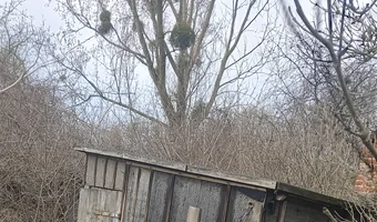 Działka - zdjęcie 4/4