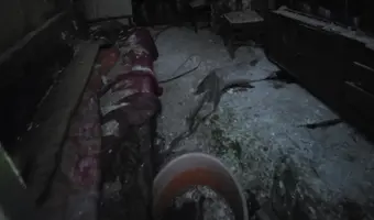 Opuszczone gospodarstwo