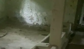 Opuszczone schronisko