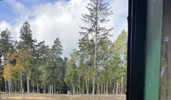 budynki