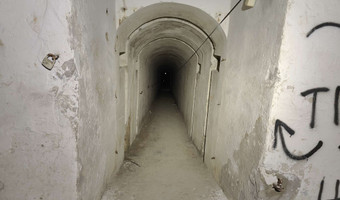 Fort 49a dłubnia, kraków
