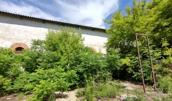 INSTYTUT HODOWLI BYDŁA, BRWINÓW