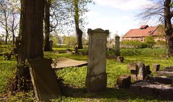 Cmentarz mennonitów (XIX w.), Tropy Elbląskie,