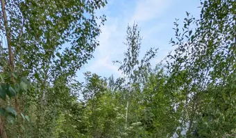 Trzy opuszczone budynki
